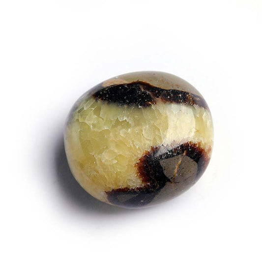Unleash Your Dragon Energy with the Majestic Septarian Touchstone!
